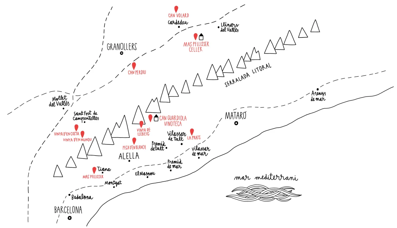 Mapa ilustrado de las viñas, entre Barcelona y Mataró
